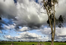 开云体育登录-G2碾压BLG，Meiko完成帽子戏法：电竞场上的震撼瞬间