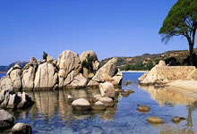 开云体育官网-比利时乒乓球队血洗中国乒乓球队，水谷隼爆发神勇